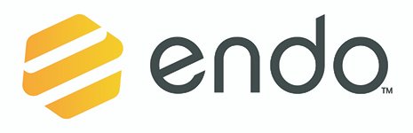 END2001 Endo Corporate Identity Final CMYK